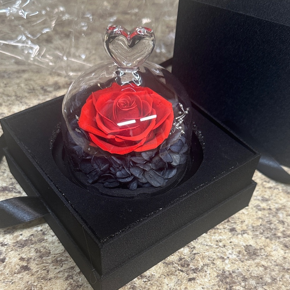 Heart-Topped Glass Dome with Red Rose.